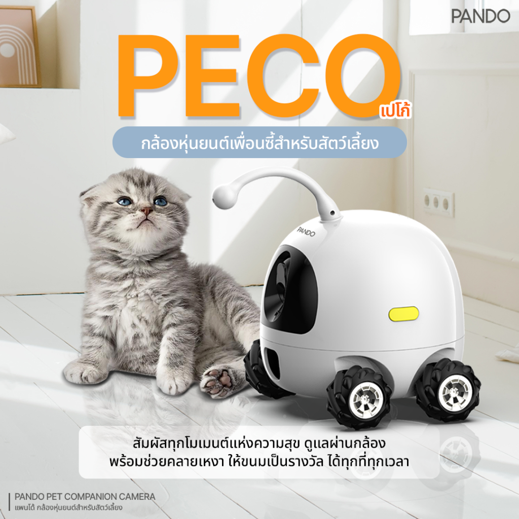 รีวิว PANDO Pet Companion Camera (PECO) กล้องวงจรปิด สัตว์เลี้ยง หุ่นยนต์อัจฉริยะช่วยเลี้ยงสัตว์